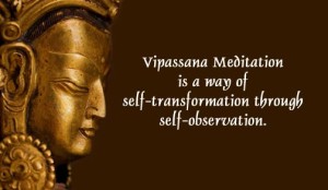 My Vipassana Experience