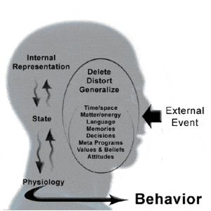 You are Responsible for You autonomy, automaticity, and change1